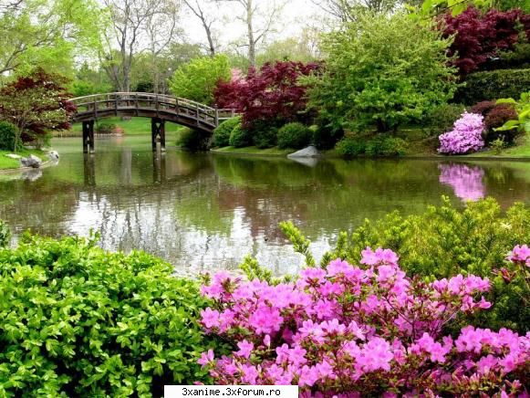 gradina japoneza frumoasa si gradina zen
